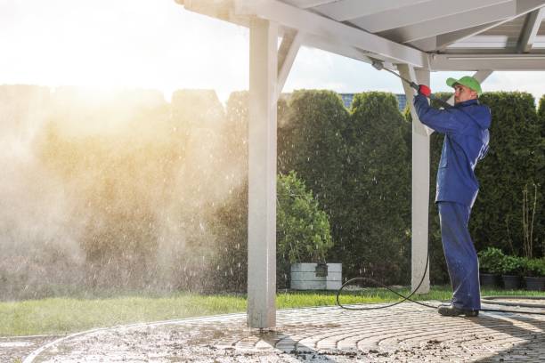 Trusted Viola, NY Pressure Washing Experts