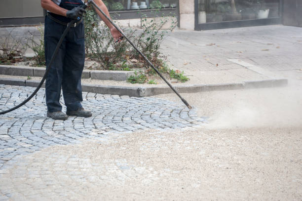Best Parking Lot and Garage Cleaning  in Viola, NY