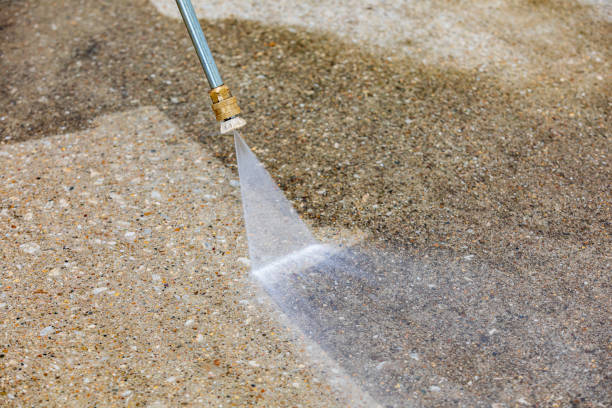 Pre-Holiday Cleaning in Viola, NY
